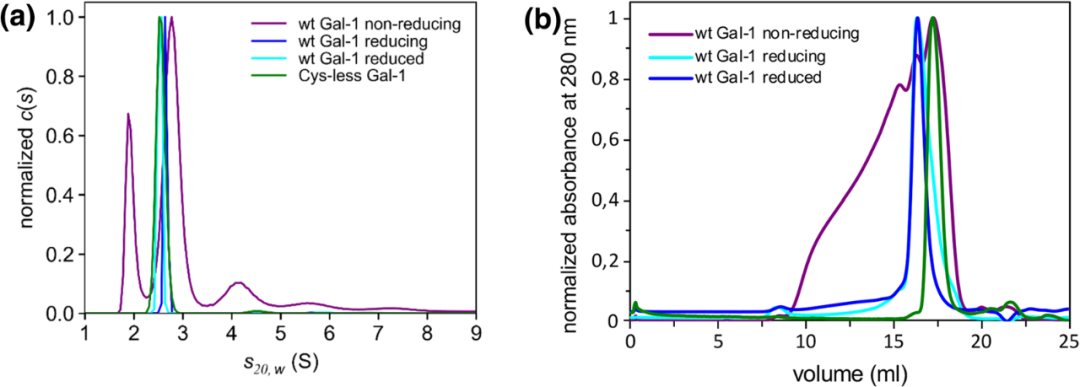 news-1080-387 news-1080-387